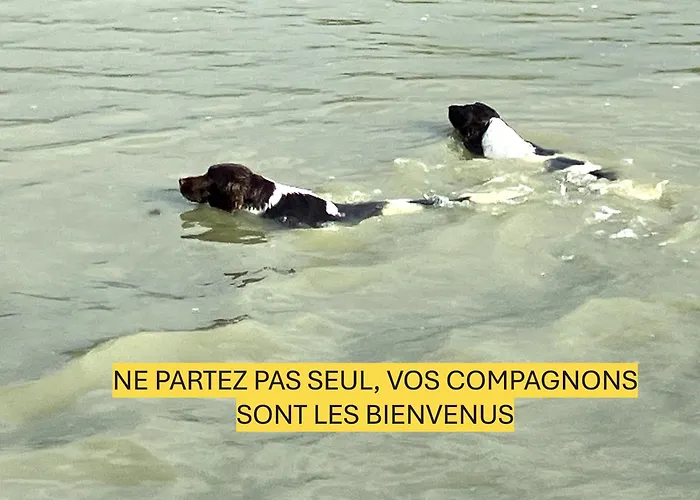 Ferienhaus La Nuit Des Planeurs